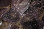 Arezou Saree