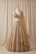 Golden Mirror Lehenga