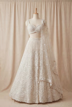 Swansi Pearl Lehenga